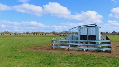 Farm For Sale - SA - Penola - 5277 - 'The Grass'  (Image 2)