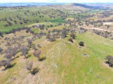 Farm For Sale - NSW - Gundagai - 2722 - Town and country.  (Image 2)