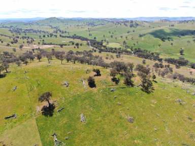 Farm For Sale - NSW - Gundagai - 2722 - Town and country.  (Image 2)