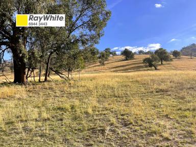 Farm For Sale - NSW - Gundagai - 2722 - Town and country.  (Image 2)