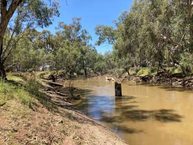 Farm For Sale - NSW - Ootha - 2875 - Rural lifestyle property on the goobang creek!  (Image 2)