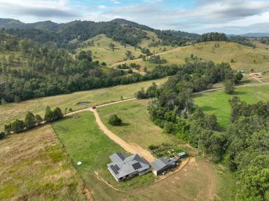 Farm For Sale - NSW - Wherrol Flat - 2429 - A Serene Haven with Endless Potential  (Image 2)