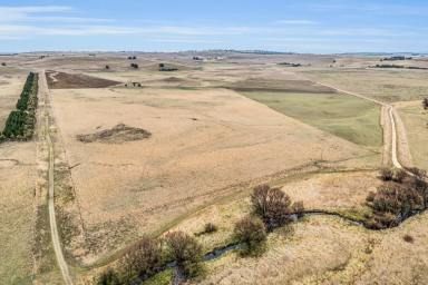 Farm Auction - NSW - Ando - 2631 - Wave Hill  (Image 2)