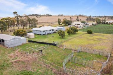 Farm For Sale - QLD - Cambooya - 4358 - Lifestyle and location!  (Image 2)