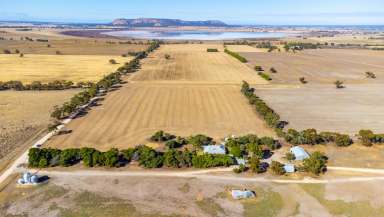 Farm Sold - VIC - Grass Flat - 3409 - Horsham - Grass Flat District  (Image 2)