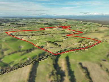 Farm For Sale - VIC - Simpson - 3266 - EXCELLENT HEYTESBURY DISTRICT PROPERTY  (Image 2)