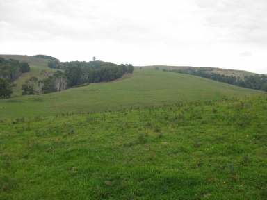 Farm For Sale - TAS - Irishtown - 7330 - Mixed Farming at Irishtown  (Image 2)