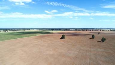 Farm For Sale - NSW - Gilgandra - 2827 - Quality Mixed Farming Asset  (Image 2)