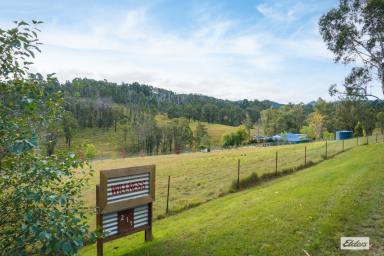 Farm For Sale - NSW - Wyndham - 2550 - SUSTAINABLE LIVING  (Image 2)