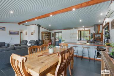 Farm For Sale - NSW - Wyndham - 2550 - SUSTAINABLE LIVING  (Image 2)