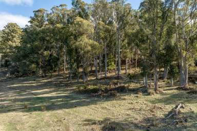 Farm For Sale - TAS - Lower Turners Marsh - 7267 - Serenity & Scenic Views  (Image 2)