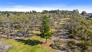 Farm For Sale - NSW - Portland - 2847 - Portland opportunity - subdivision possibility!  (Image 2)