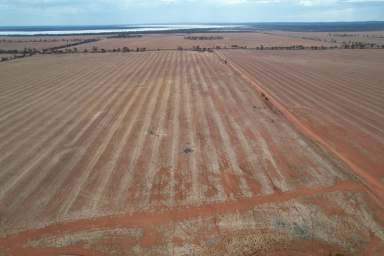 Farm Sold - WA - South Yilgarn - 6426 - Bullfinch - Moorine Aggregation  (Image 2)