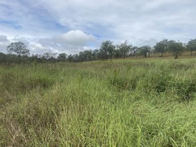 Farm For Sale - QLD - Kinbombi - 4601 - Welcome to the Rail Trail Estate  (Image 2)