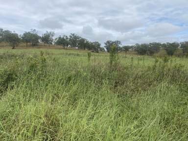 Farm For Sale - QLD - Kinbombi - 4601 - Welcome to the Rail Trail Estate  (Image 2)