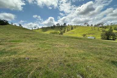 Farm Sold - NSW - East Gresford - 2311 - Get Away From It All  (Image 2)