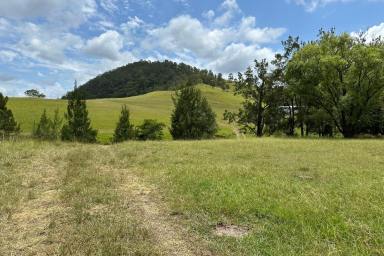 Farm For Sale - NSW - East Gresford - 2311 - Get Away From It All  (Image 2)