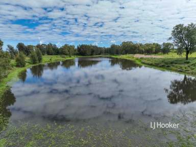 Farm For Sale - QLD - Roma - 4455 - Lot 7 Burnsdale Road, Roma  (Image 2)