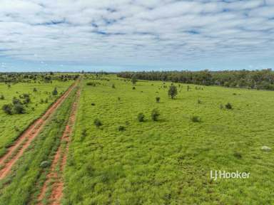 Farm For Sale - QLD - Roma - 4455 - Lot 7 Burnsdale Road, Roma  (Image 2)