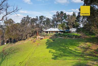 Farm Sold - WA - Bridgetown - 6255 - 2.8 acre Lifestyle property with valley views  (Image 2)