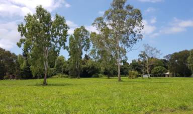 Farm For Sale - QLD - Carruchan - 4816 - Vacant rural block with Creek frontage & lovely mountain views  (Image 2)