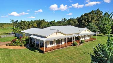 Farm For Sale - QLD - Bargara - 4670 - Country Homestead on 4.2 acres … 1.3Kms to Kelly’s Beach  (Image 2)