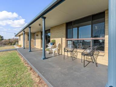 Farm For Sale - TAS - Bridport - 7262 - 'Where Comfort and Space Meets Opportunity '  (Image 2)