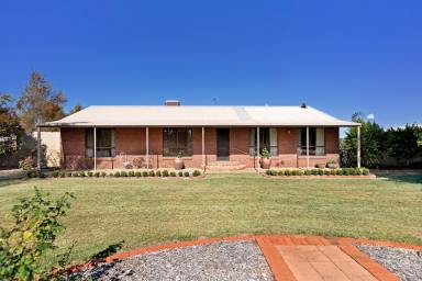 Farm For Sale - VIC - Merbein - 3505 - Surround yourself in space  (Image 2)