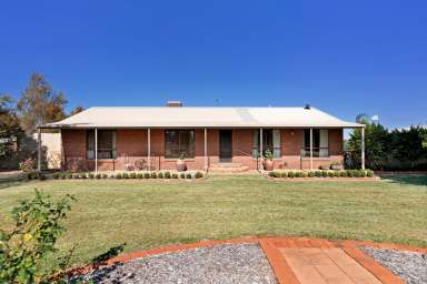 Farm For Sale - VIC - Merbein - 3505 - Surround yourself in space  (Image 2)