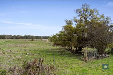 Farm For Sale - Vic - Swan Marsh - 3249 - Private, Productive with Sustainable Potential...  (Image 2)