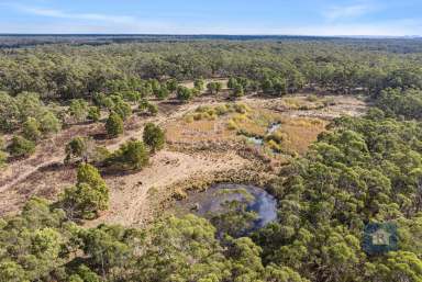 Farm For Sale - Vic - Swan Marsh - 3249 - Private, Productive with Sustainable Potential...  (Image 2)