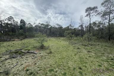 Farm For Sale - NSW - Merriwa - 2329 - 100 Acres with a Dwelling Entitlement  (Image 2)