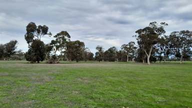 Farm Sold - WA - Katanning - 6317 - 100 Acres Katanning  (Image 2)