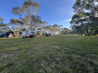 Farm For Sale - NSW - Tomboye - 2622 - Craving The Country Life, Beauty & Nature, 2 Acre Manicured Lot, Dwelling Entitlement, Build Your Country Home. Ready For Your Dreams To Come True?  (Image 2)