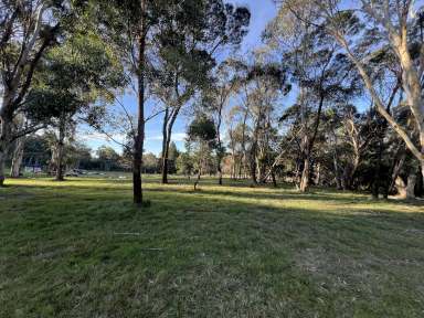 Farm Sold - NSW - Tomboye - 2622 - Craving The Country Life, Beauty & Nature, 2 Acre Manicured Lot, Dwelling Entitlement To Build Your Country Home. Your Dreams Start Here.  (Image 2)