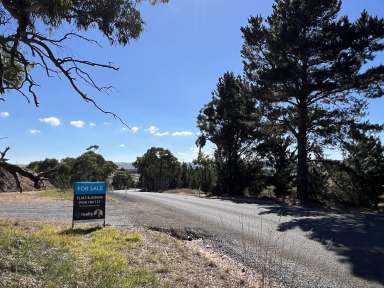 Farm For Sale - NSW - Wayo - 2580 - 40 Acres, Mostly Level, Shed, Water Tank & Power On Site, Fully Fenced, Great Location, Valley & Mountain Views.  (Image 2)