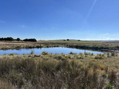 Farm For Sale - NSW - Wayo - 2580 - 40 Acres, Mostly Level, Shed, Water Tank & Power On Site, Fully Fenced, Great Location, Valley & Mountain Views.  (Image 2)