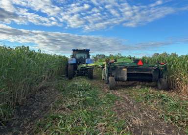 Farm For Sale - QLD - Monto - 4630 - Versatile, Highly Productive, Unlimited Water Supply & Fully Operational  (Image 2)