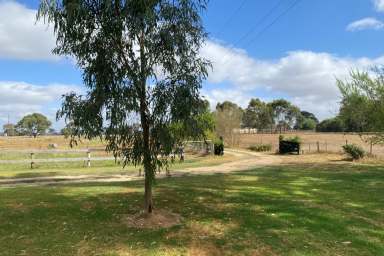 Farm Sold - SA - Kalangadoo - 5278 - Lifestyle on 9.5 Acres so close to town  (Image 2)