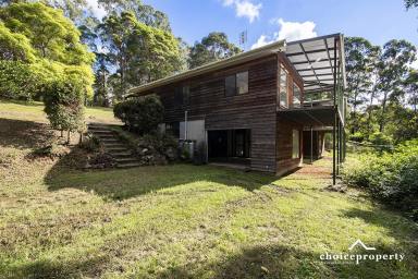 Farm For Sale - QLD - Reesville - 4552 - Opportunity Knocks!  20.2ha, 15 mins to Maleny  (Image 2)