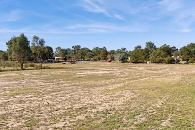 Farm For Sale - VIC - Huntly - 3551 - Exceptional Land Offering in Huntly  (Image 2)