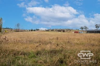 Farm For Sale - NSW - Glen Innes - 2370 - 1ha Block Close To Town  (Image 2)