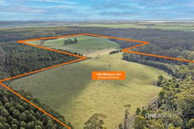 Farm For Sale - TAS - Scopus - 7330 - 160 Acre Block Only A Short Distance From Town!  (Image 2)