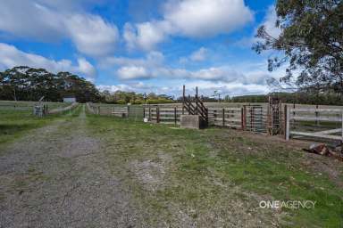 Farm Sold - TAS - Scopus - 7330 - 160 Acre Block Only A Short Distance From Town!  (Image 2)