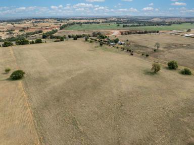 Farm Auction - NSW - Parkes - 2870 - "The Retreat" Prime Development Opportunity  (Image 2)