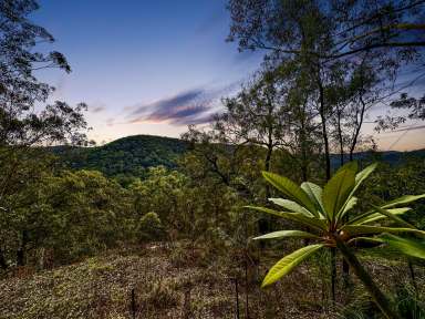 Farm For Sale - NSW - Sweetmans Creek - 2325 - 'Mourinjarie' - An Amazing 50 Acre Bushland Wonderland!  (Image 2)