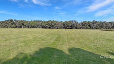Farm For Sale - VIC - Marlo - 3888 - Go Large in Marlo  (Image 2)