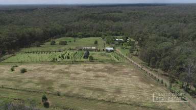 Farm For Sale - QLD - Bauple - 4650 - Keep it in the Family - Farming Opportunity near Gympie  (Image 2)