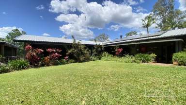 Farm For Sale - QLD - Bauple - 4650 - Keep it in the Family - Farming Opportunity near Gympie  (Image 2)