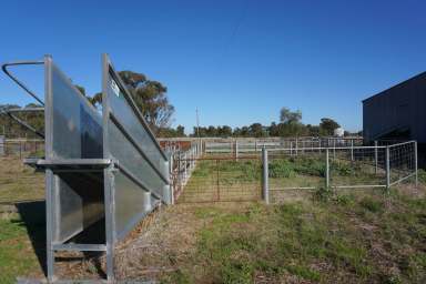 Farm For Sale - NSW - West Wyalong - 2671 - 'Durringle'  (Image 2)